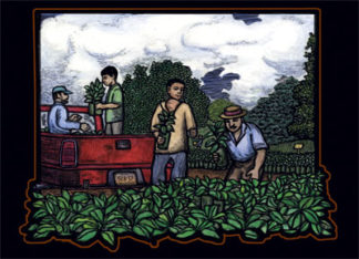 Seedlings - Coffee Growing Poster by Ricardo Levins Morales