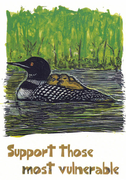 NC358 support most vulnerable loons web
