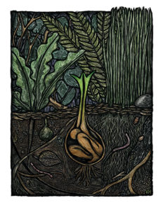 Germination - Artwork by Ricardo Levins Morales Art Studio