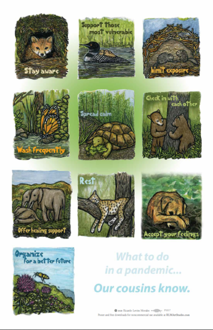 What To Do In a Pandemic (Animals) - Full Poster