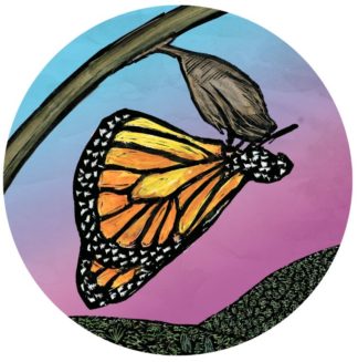 b789 butterfly beginnings button