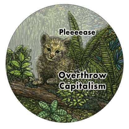b793 please overthrow capitalism kitty