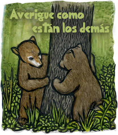 (En Español) Que Hacer En Caso De Pandemia - Paquete de 10 - 8x10" Pósters - Image 5