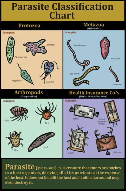 This image shows a parasite classification chart, including "Health Insurance Companies" Original artwork by Ricardo Levins Morales