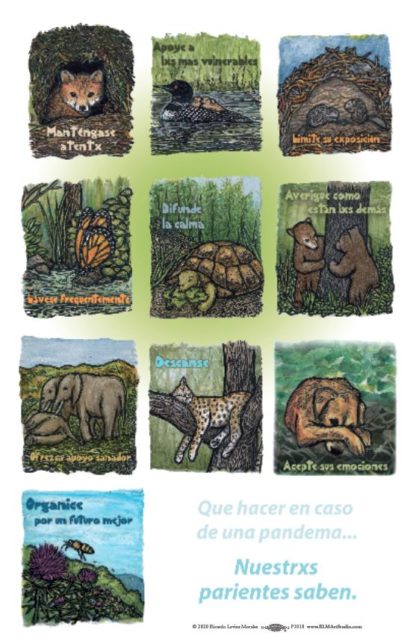 Que Hacer en Caso de Pandema - Animales (11x17 póster en español)