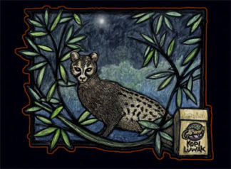 Asian Palm Civet - Coffee Notecard by Ricardo Levins Morales