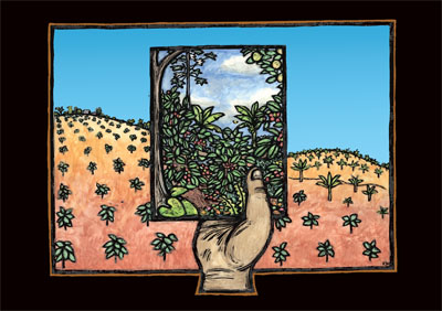 Sombra y Sol, Deforestation - Puerto Rico Coffee Plantation Poster by Ricardo Levins Morales
