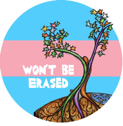 Trans flag colors of blue and pink with the words "won't be erased" and a tree figure with stars as leaves